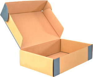 Cardboard-shoe-box-blank-psd43359